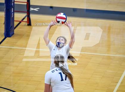 Thumbnail 1 in Johnson vs O'Connor (JV) photogallery.