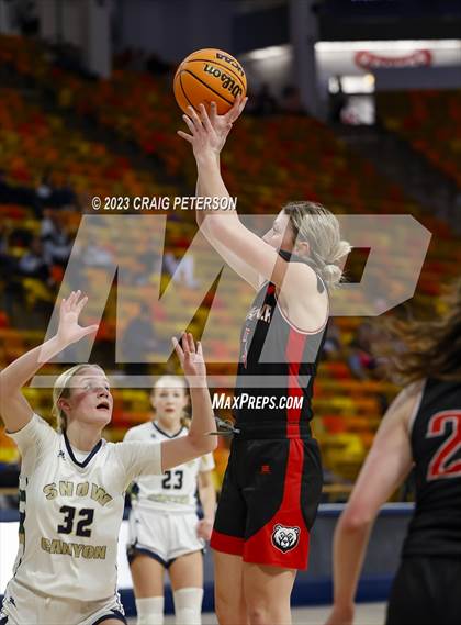 Thumbnail 2 in Snow Canyon vs. Bear River (UHSAA 4A Quarterfinal) photogallery.
