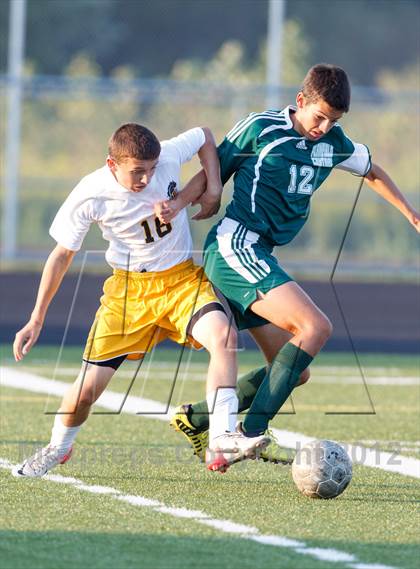 Thumbnail 2 in Plainfield Central @ Metea Valley photogallery.