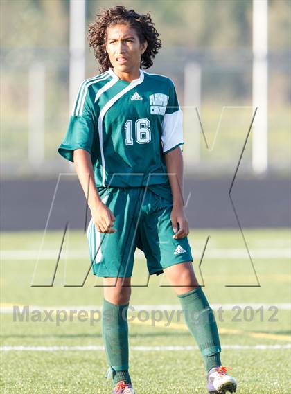 Thumbnail 2 in Plainfield Central @ Metea Valley photogallery.