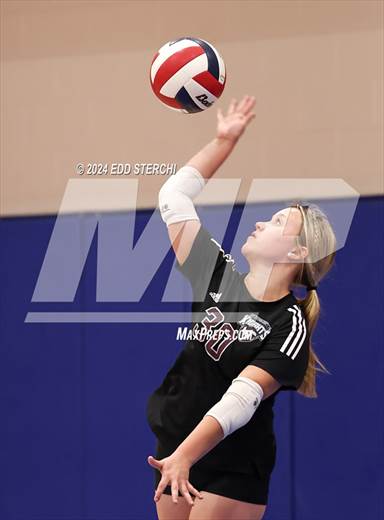 null - Photo 11