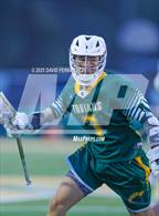 Photo from the gallery "Pine Forest @ Pinecrest"