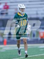 Photo from the gallery "Pine Forest @ Pinecrest"