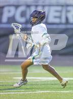 Photo from the gallery "Pine Forest @ Pinecrest"