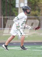 Photo from the gallery "Pine Forest @ Pinecrest"