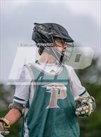 Photo from the gallery "Pine Forest @ Pinecrest"