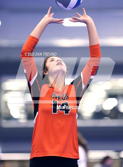 Thumbnail 3 in Endless Summer VB Tournament (Grand Varsity Champions) photogallery.