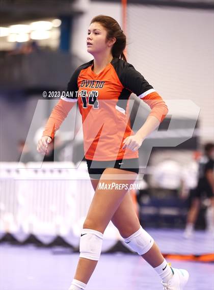 Thumbnail 2 in Endless Summer VB Tournament (Grand Varsity Champions) photogallery.
