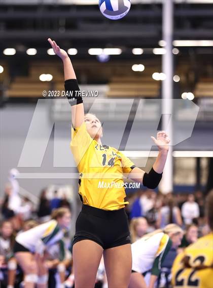Thumbnail 3 in Endless Summer VB Tournament (Grand Varsity Champions) photogallery.