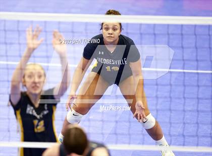 Thumbnail 1 in Endless Summer VB Tournament (Grand Varsity Champions) photogallery.