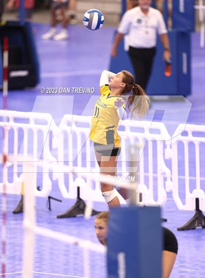 Thumbnail 3 in Endless Summer VB Tournament (Grand Varsity Champions) photogallery.