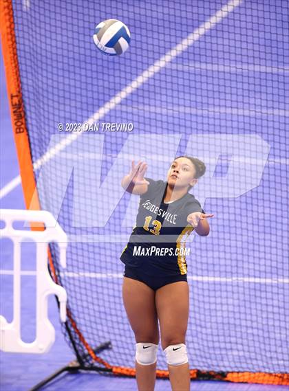 Thumbnail 2 in Endless Summer VB Tournament (Grand Varsity Champions) photogallery.