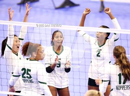 Thumbnail 2 in Endless Summer VB Tournament (Grand Varsity Champions) photogallery.