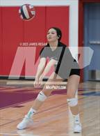 Photo from the gallery "Sequoia @ Hillsdale"