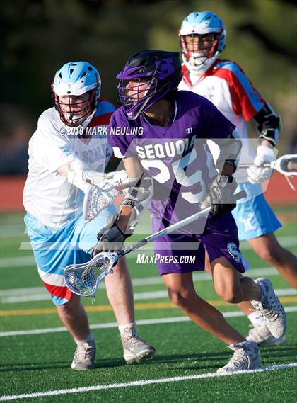 Thumbnail 1 in Sequoia @ Hillsdale photogallery.