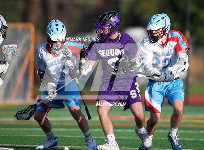 Thumbnail 2 in Sequoia @ Hillsdale photogallery.