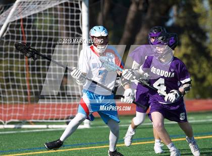 Thumbnail 1 in Sequoia @ Hillsdale photogallery.
