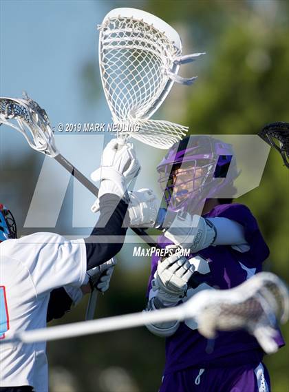 Thumbnail 3 in Sequoia @ Hillsdale photogallery.