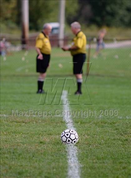 Thumbnail 3 in Arlington B @ Brewster photogallery.