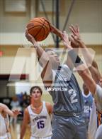 Photo from the gallery "Baker vs. Daphne"