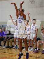 Photo from the gallery "Baker vs. Daphne"