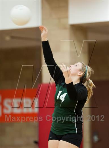 null - Photo 01