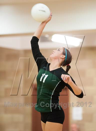 null - Photo 01