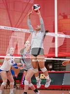 Photo from the gallery "Los Alamitos @ Mater Dei (CIF-SS D1 Playoffs)"