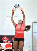 Photo from the gallery "Cardinal Newman vs. Daniel (Dorman Tournament of Champions)"