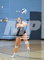 Photo from the gallery "Cardinal Newman vs. Daniel (Dorman Tournament of Champions)"