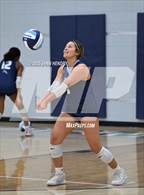 Photo from the gallery "Cardinal Newman vs. Daniel (Dorman Tournament of Champions)"