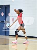 Photo from the gallery "Cardinal Newman vs. Daniel (Dorman Tournament of Champions)"