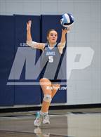 Photo from the gallery "Cardinal Newman vs. Daniel (Dorman Tournament of Champions)"