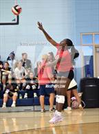 Photo from the gallery "Cardinal Newman vs. Daniel (Dorman Tournament of Champions)"