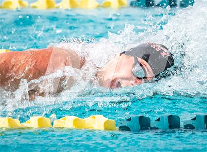 Thumbnail 1 in Meet of Champions photogallery.