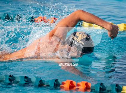 Thumbnail 1 in Meet of Champions photogallery.