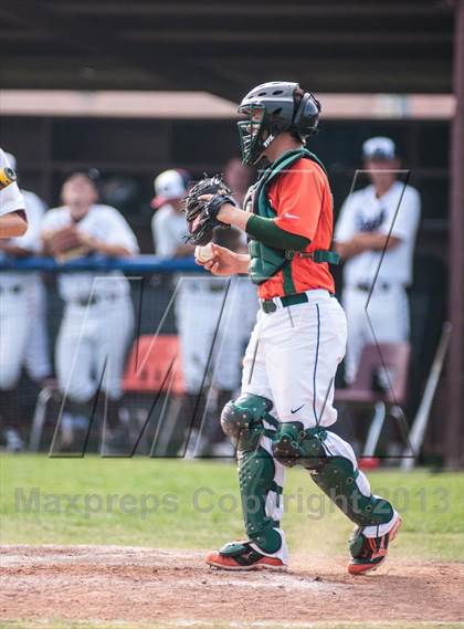 Thumbnail 3 in Naaman Forest @ Rowlett photogallery.