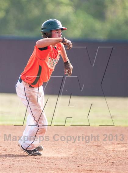 Thumbnail 2 in Naaman Forest @ Rowlett photogallery.