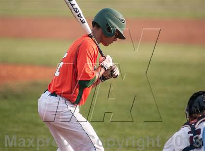 Thumbnail 1 in Naaman Forest @ Rowlett photogallery.