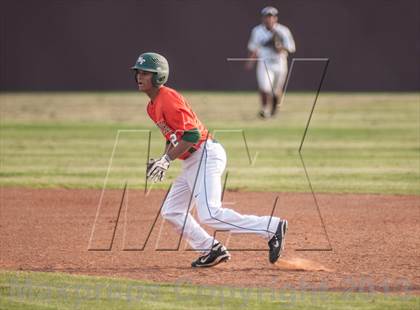 Thumbnail 2 in Naaman Forest @ Rowlett photogallery.