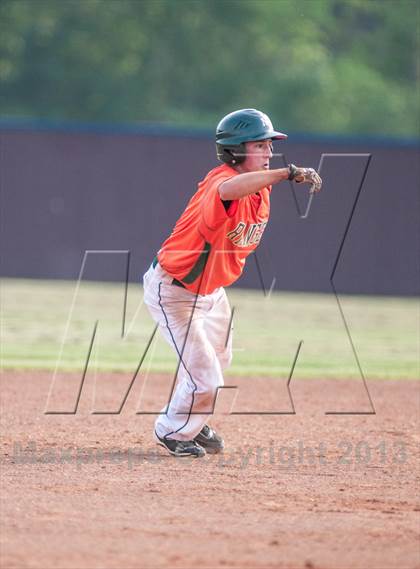 Thumbnail 3 in Naaman Forest @ Rowlett photogallery.