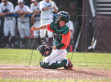 Thumbnail 2 in Naaman Forest @ Rowlett photogallery.