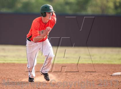 Thumbnail 3 in Naaman Forest @ Rowlett photogallery.
