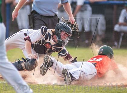 Thumbnail 1 in Naaman Forest @ Rowlett photogallery.