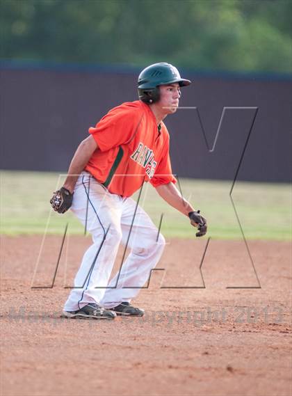 Thumbnail 2 in Naaman Forest @ Rowlett photogallery.