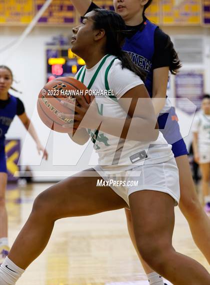 Thumbnail 3 in Westview vs. Benson (Metro Tournament) photogallery.