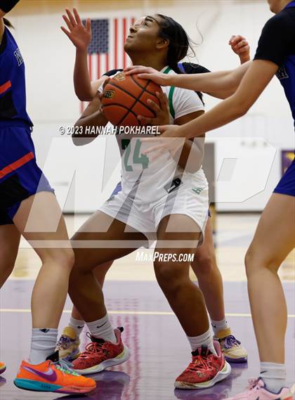 Thumbnail 1 in Westview vs. Benson (Metro Tournament) photogallery.