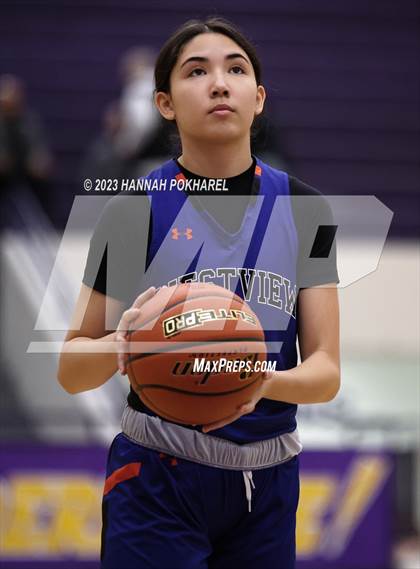 Thumbnail 1 in Westview vs. Benson (Metro Tournament) photogallery.