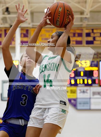 Thumbnail 3 in Westview vs. Benson (Metro Tournament) photogallery.