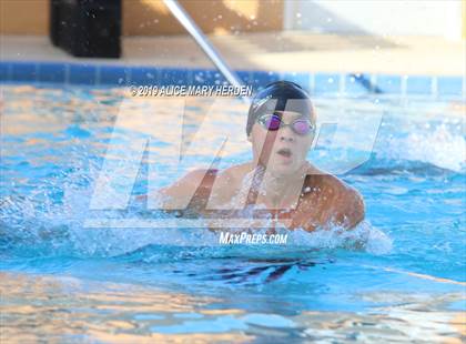 Thumbnail 2 in Weeki Wachee vs Springstead, Central  photogallery.